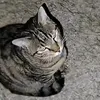 isaac_1558