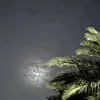 q_irs1