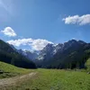 fau.tyna