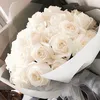selyna.03