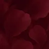 غـّزلـان💋🍒 🇴🇲