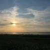 vollybalgirl11