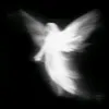dasha_x63