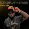 one_law_boss_ente