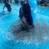 manuxz.27