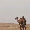 f511476