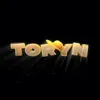 cc.toryn