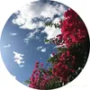 kingiabdi4