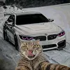 shoi_khoar_king