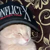 raja_peragos1
