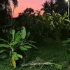 serina_zhh4