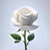 ohnmaxxs6z6