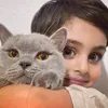 mehrobak.l7