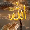 nouhan5519
