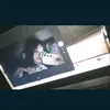9minaalcc99