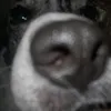 bebebebebebebebebebe__39