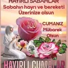 yrkolu998