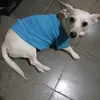 chino.alex363