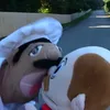 𝒮𝑀𝐿𝟩𝒯𝒴