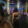 wellnessbelly