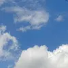 stev_kurt14