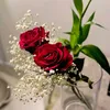 user7586206610458