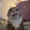 maybebaybeoriginal