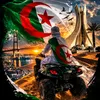 user9532791385378