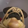 ttv_onlykingdj1234