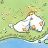 lilly_field_