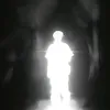 sylaxbtw