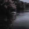 draganov_aa