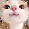 hulya.oncer