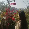 zarinn_623