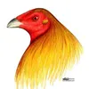 esmelaliagarabana
