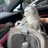 ninjainparisz