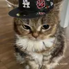 leon_stecu1