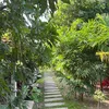 Việt vui vẻ