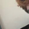 mokxnick