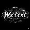wx.text