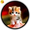 mano.billi1398