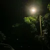 oyeen_1009