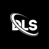 dls.dream13