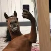 daniiisantarosa