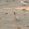 uejejjejejjekkwk