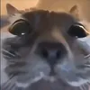 robinsandberg00