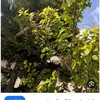 user8003615181796