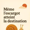 adamo.ouedraogo742