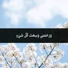 mohammedanwarabdu6