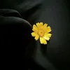 nurswal6